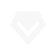 icon1